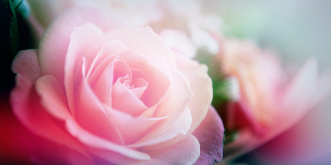 Kegel muscles: where they are and how to develop them